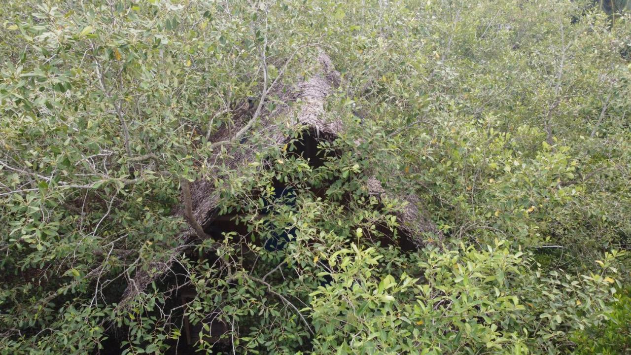 Mermaid And Tree Деревянный коттедж *