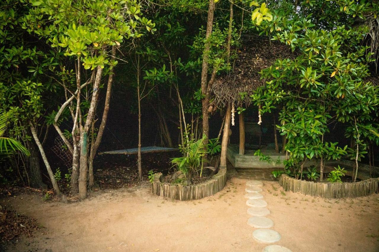 Lodge Mermaid And Tree Tangalle