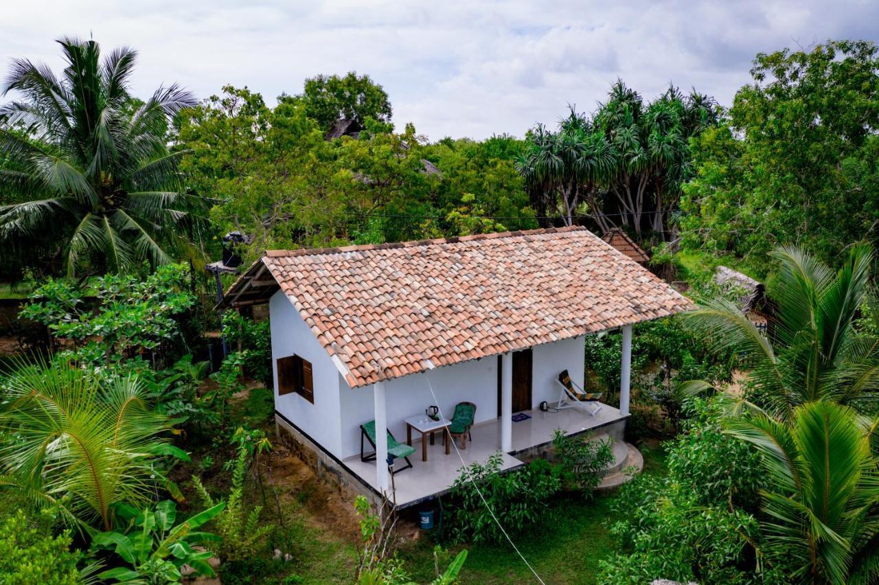 Mermaid And Tree Lodge Tangalle